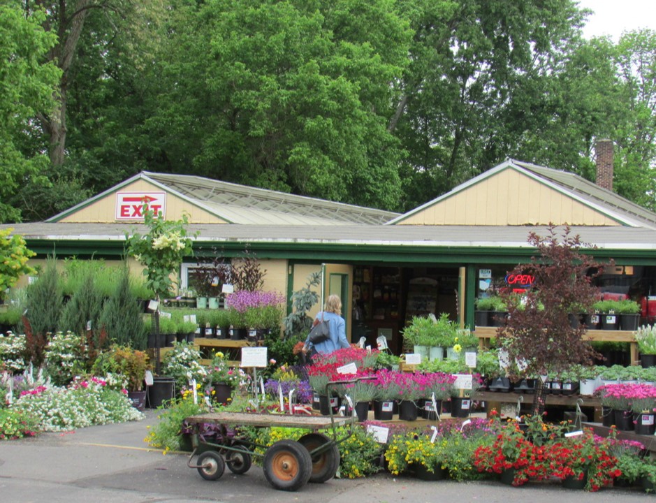 Denny McKeown's Bloomin Garden Centre and Landscape