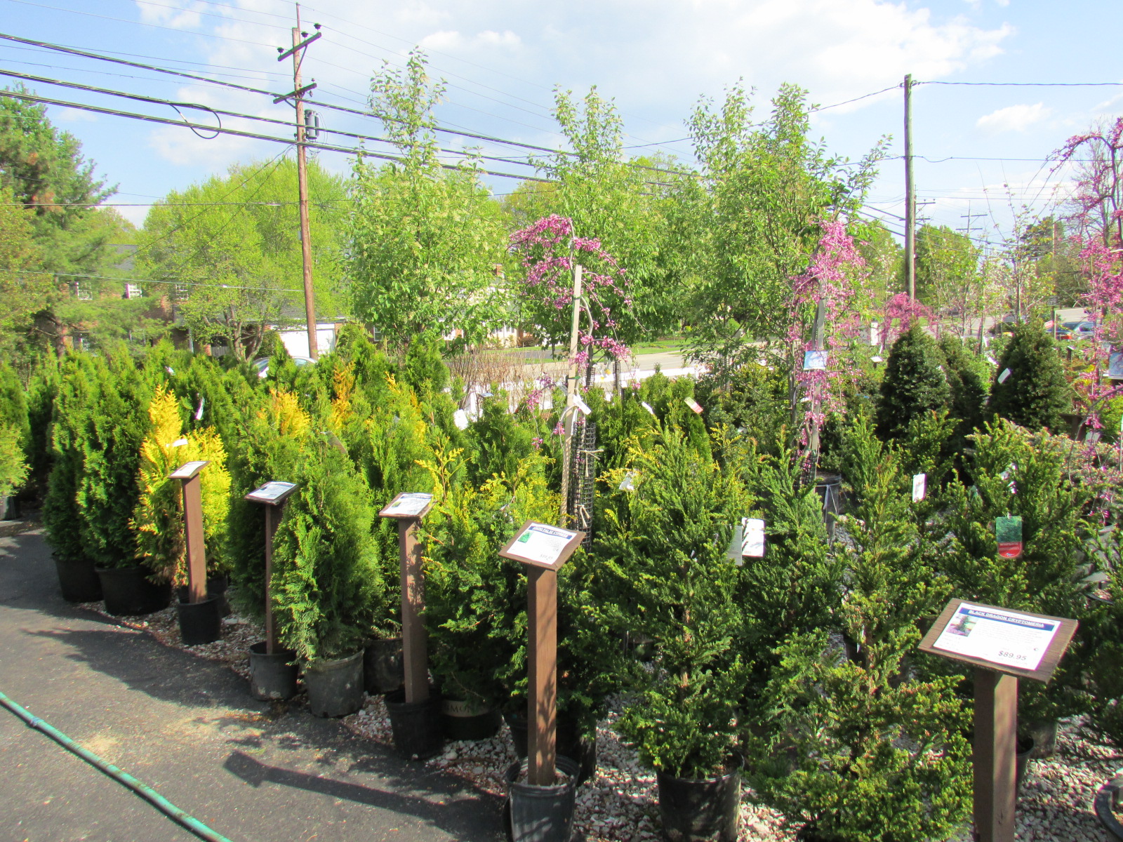 Garden Centre - Denny McKeown's Bloomin Garden Centre