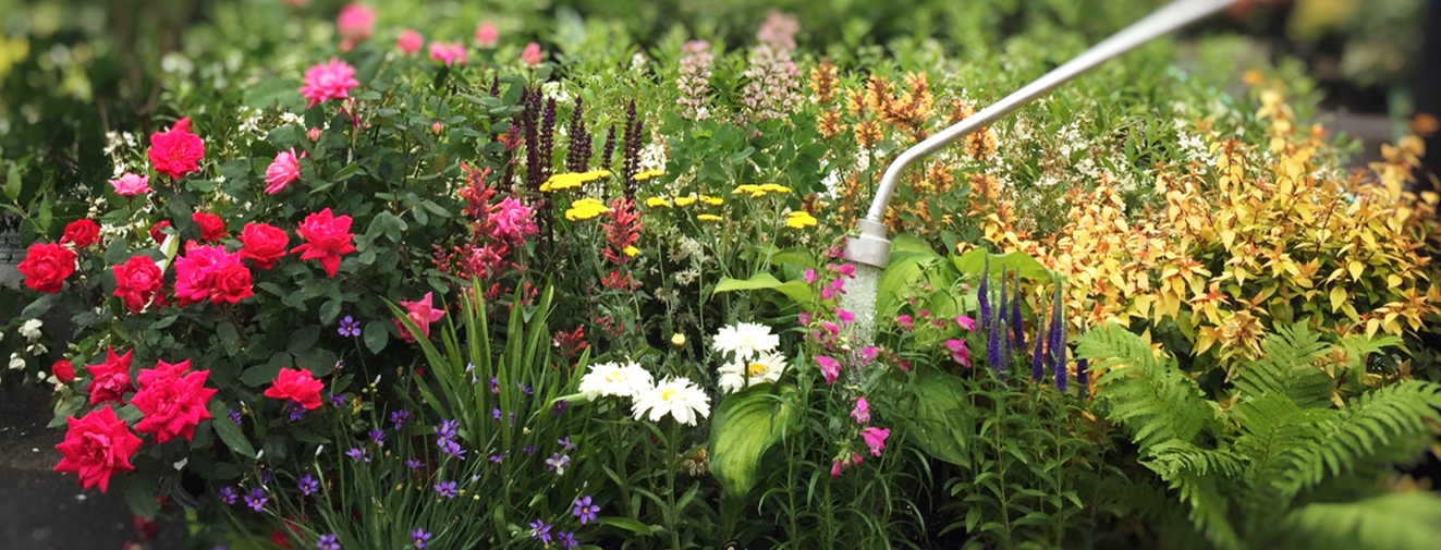 Denny McKeown's Bloomin Garden Centre and Landscape