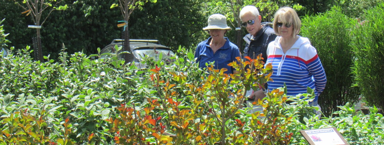 Denny McKeown's Bloomin Garden Centre and Landscape