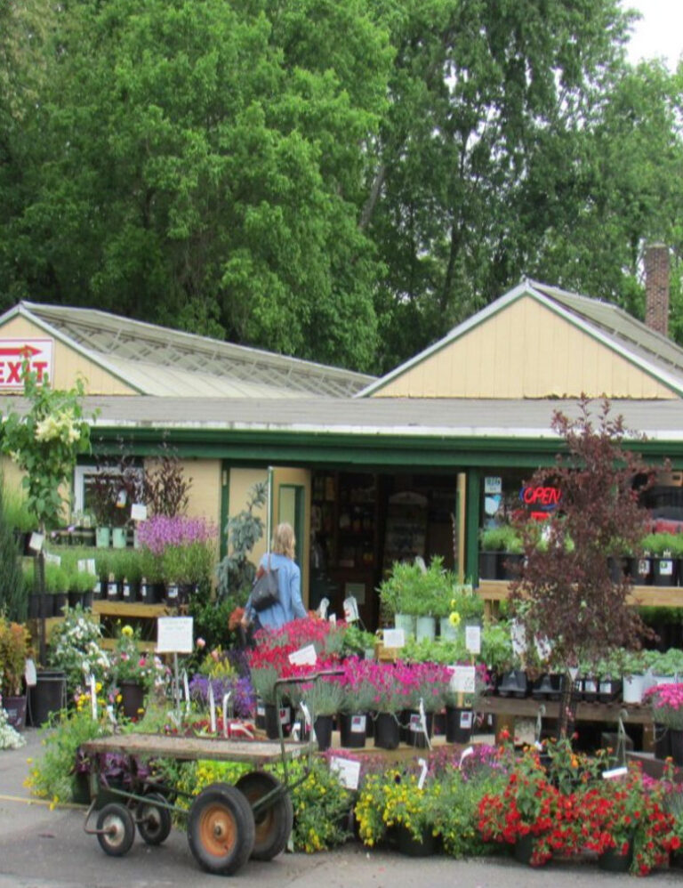 Denny McKeown's Bloomin Garden Centre and Landscape