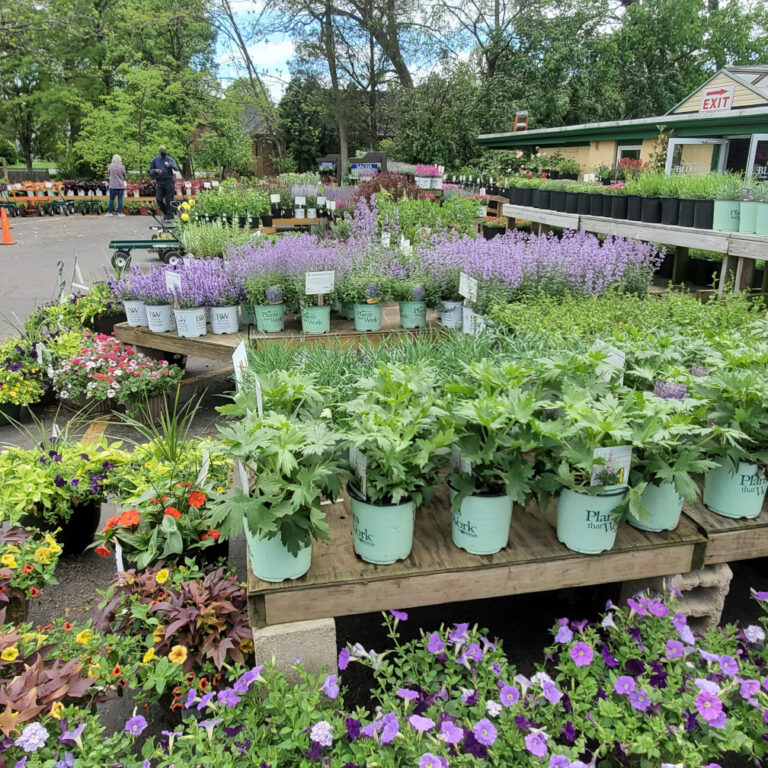 Denny Mckeown S Bloomin Garden Centre Landscape